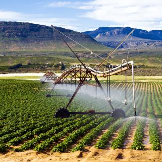 Irrigation system