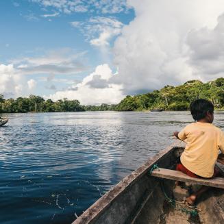 boy paddling a rowboat with trees in the distance