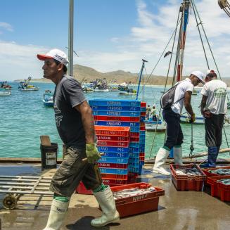 Fishers in Peru walk the docks