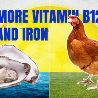 Blue foods explainer thumbnail