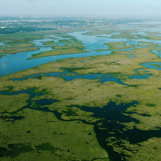 A city on vast wetlands