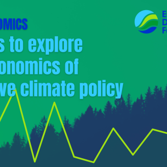EDF Economics Seminar Series