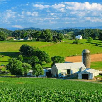 Farm land