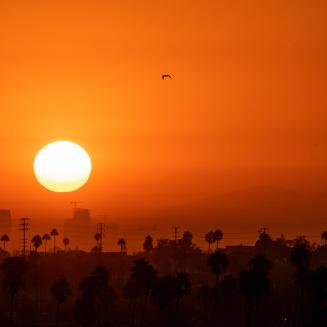 Sun rising over a city, with the sky an orange hue.