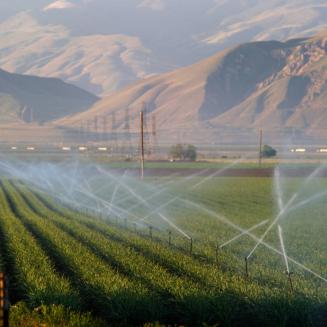 Crops being irrigated in California, with brown mountains in the background. Credit: John Chacon, California Department of Water Resources