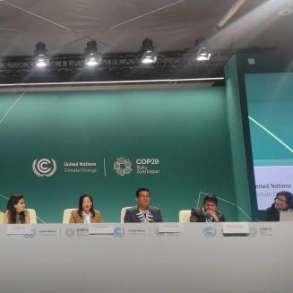 A speaker panel at COP29.