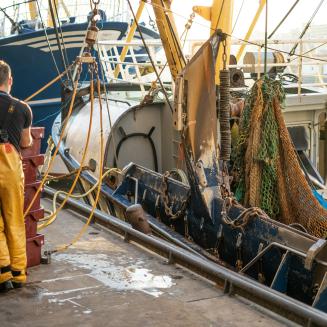 Dutch fisher working on dock next to fishing boats