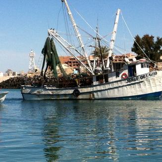 A hake fishing boat in Puerto Peñasco, Sonora, Mexico.