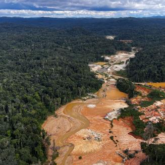 An illegal gold mining operation, viewed from overhead, cuts a scar through a forest.