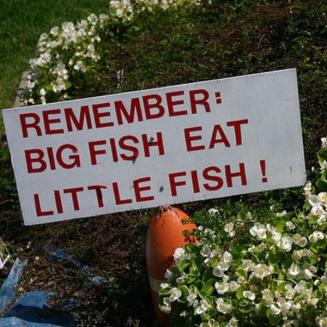 Sign that says &quot;Remember: Big fish eat little fish!&quot;