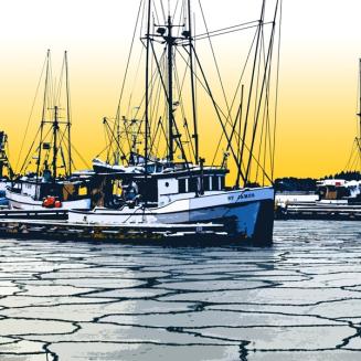 Sail boat on the water