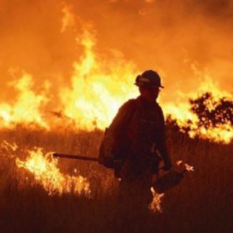 Firefighter fighting a wildfire