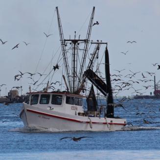 Ship on Galveston Bay