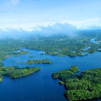 Aerial shot of lush forests