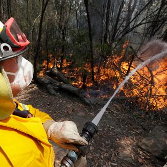 Firefighter putting out a forest fire