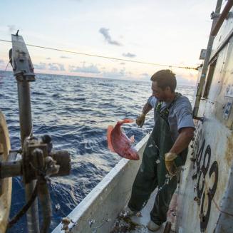 Man on a boat reeling in a fish
