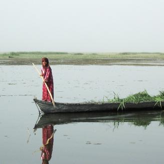 An Iraqi marsh girl harvesting reeds.