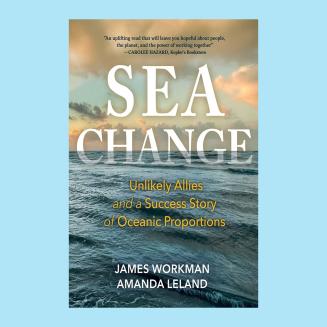 "Sea Change" book cover, with a beautiful image of the ocean.