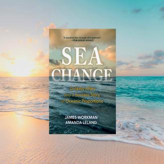 Sea Change book cover on a background showing a peaceful coastline.