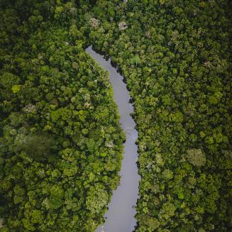 River running through a rainforest, viewed from overhead.