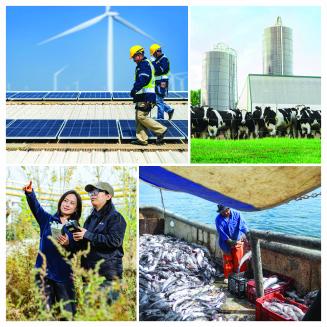 A collage of images depicting various environmental issues