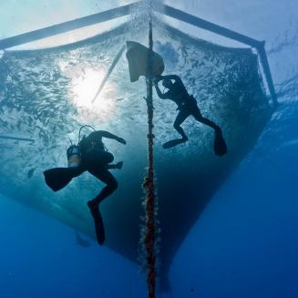 Two divers swimming in a submerged net cage.