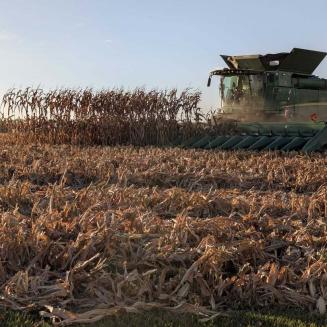 A thresher goes through a field.