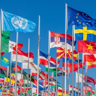 Many world flags, including the U.N. and E.U. flags.