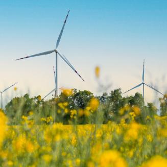 Wind turbine farm