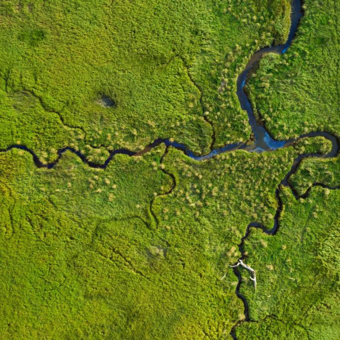 Bird's-eye view of a coastal marsh in Oregon