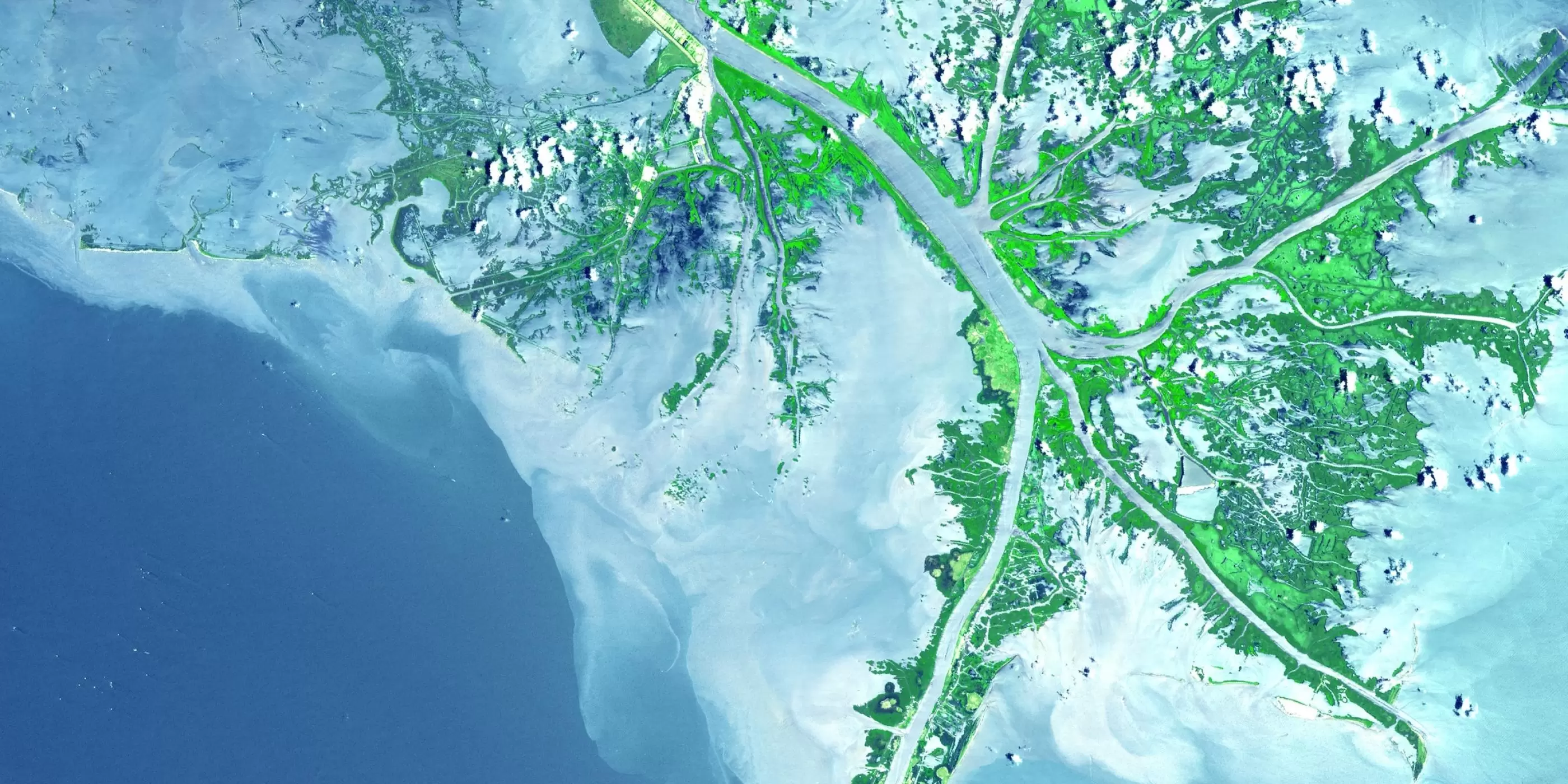 Aerial view of the Mississippi River Delta