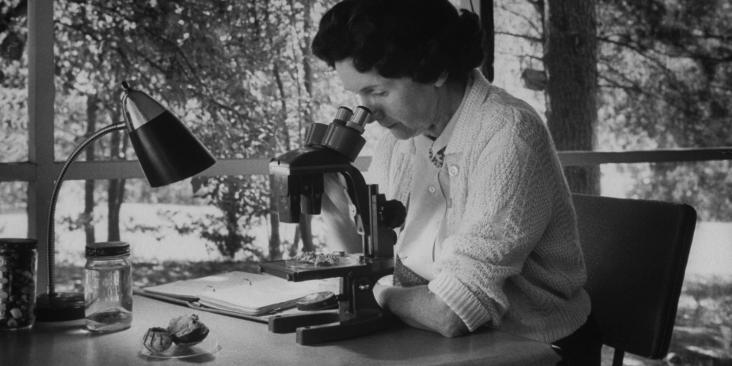 Rachel Carson