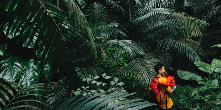 father and child in forest