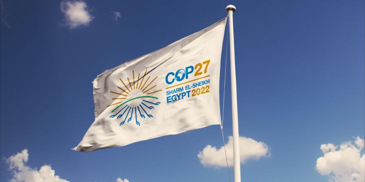 The COP27 flag flying against a blue sky