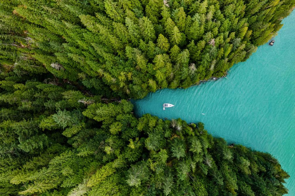Aerial view of lake and forest.