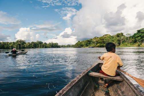boy paddling a rowboat with trees in the distance