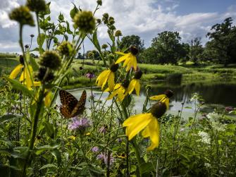 The beautiful landscape of the Kokosing Nature Preserve cemetery in Ohio