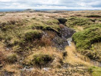 Peat bog moor in Autumn, Kinder Scout, Derbyshire, Peak District National Park, England, UK.