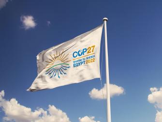 The COP27 flag flying against a blue sky