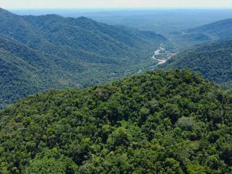 A scenic shot of Amazon rainforest in Ecuador