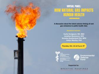 A Virtual Panel for How Methane Impacts Human Health