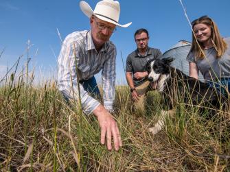 Three people and a dog leaning grass over to check on plant and soil health.