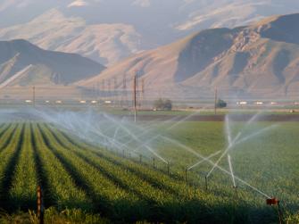 Crops being irrigated in California, with brown mountains in the background. Credit: John Chacon, California Department of Water Resources