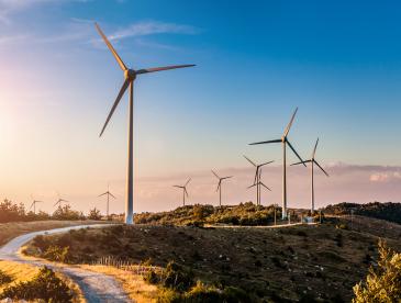 Wind turbines on grassy hill