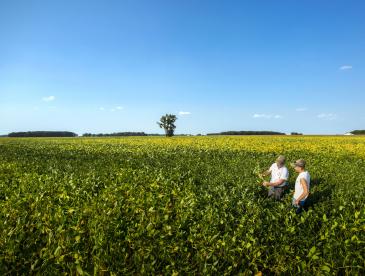 Two people standing in a field under a bright blue sky.