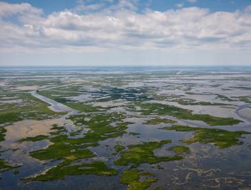 Aerial view of Louisiana wetlands