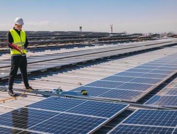 Worker looking down at a line of solar panels