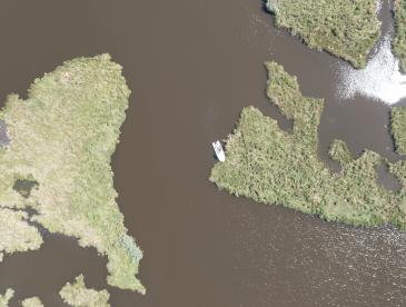 A boat navigating a wetlands region, viewed from overhead.
