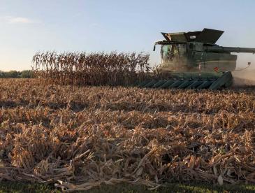 A thresher goes through a field.