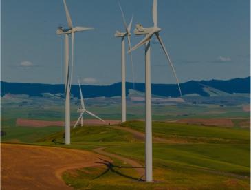 Wind turbines in a field